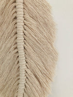Large Feather