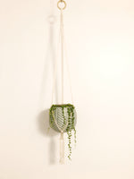 Plant Hanger with Crown Knot Base
