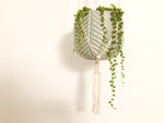 Plant Hanger with Crown Knot Base